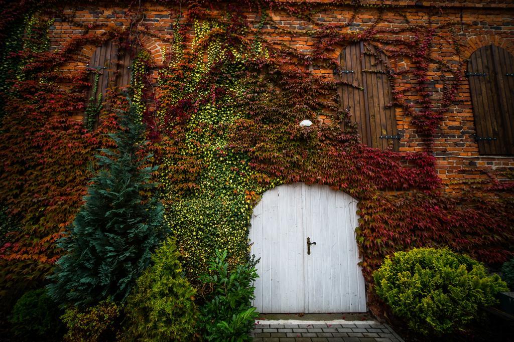 Mily Mlyn Appartement Lubrza  Buitenkant foto